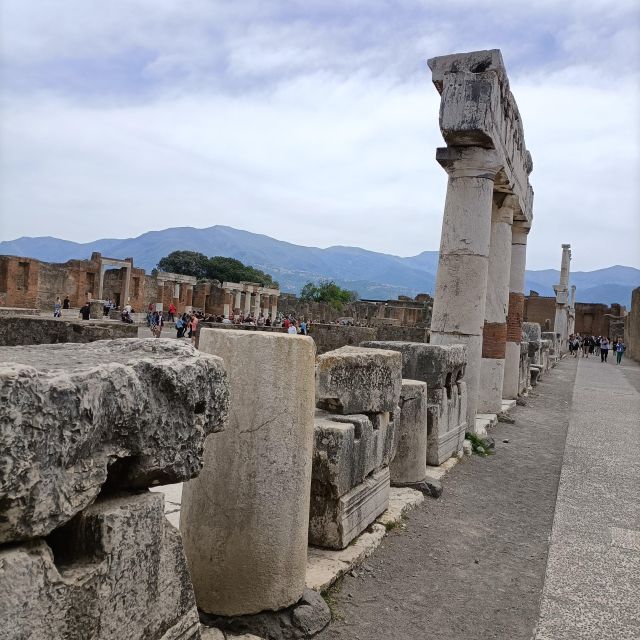 Pompeii Herculaneum and Oplontis With the Guide From Naples - Important Information