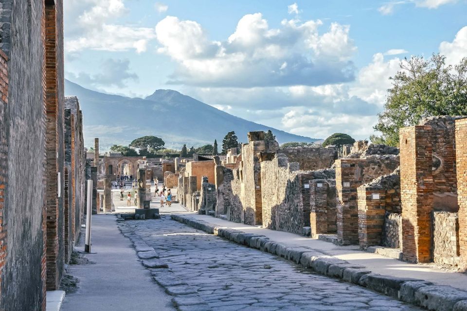 Pompeii, Herculaneum and Wine Tasting - Private Tour - Experience Description