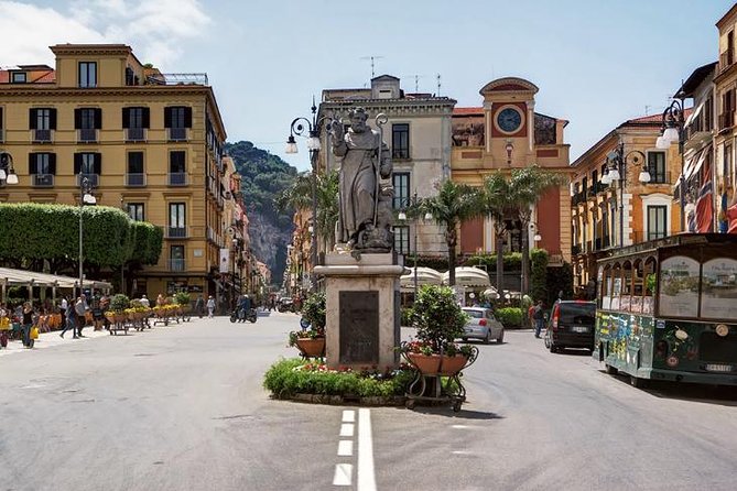 Pompeii, Sorrento and Amalfi Coast With Driver - Private Day Trip From Rome - Tour Options