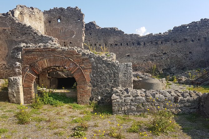 Pompeii Tour With Experienced Guide - What to Expect on the Tour