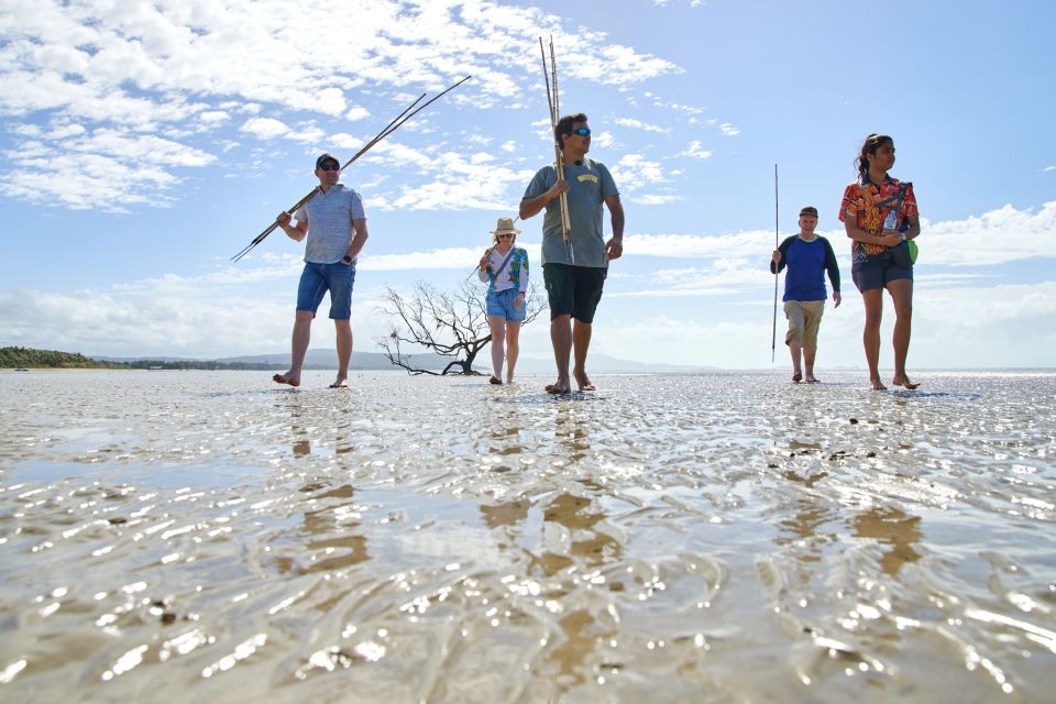 Port Douglas: Full Day Daintree Cultural Tour With Lunch - Indigenous Knowledge & Activities