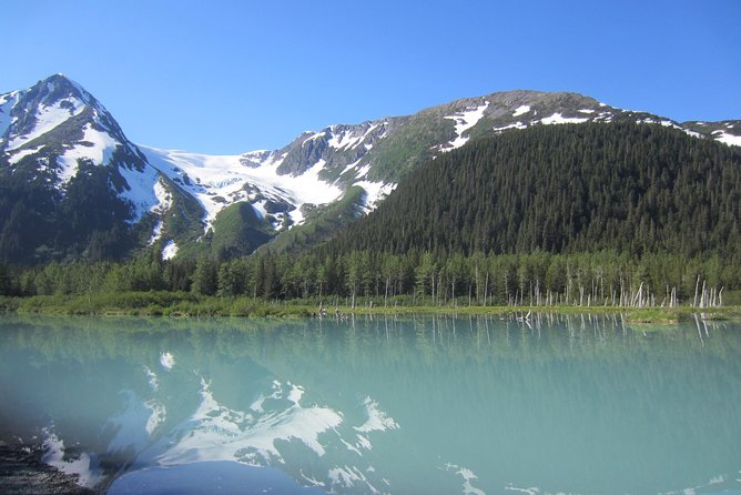 Portage Glacier Cruise a Self-Guided Tour - Additional Information