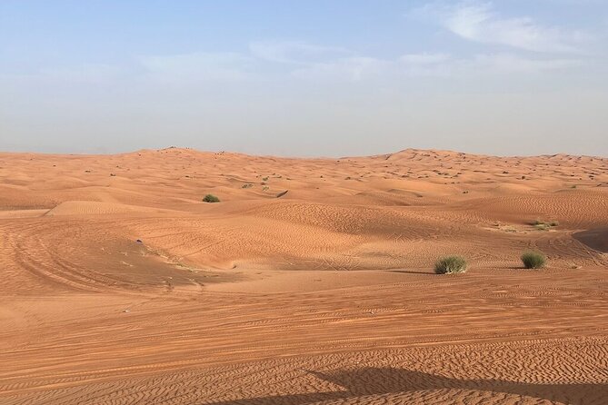 Premium Red Dunes Desert Safari Dubai With Quad Bike Option - Cancellation Policy Details