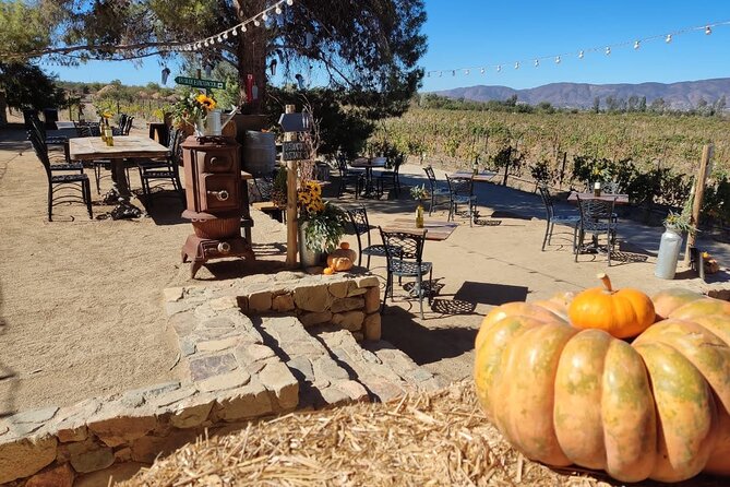 Premium Valle De Guadalupe Wine and Food Tour - Booking Information