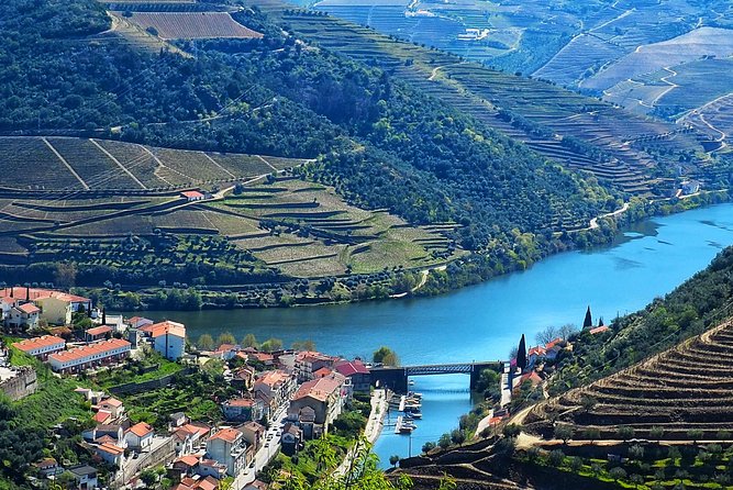 Premium Wine Experience Through Douro Valley - Exclusive Wine Pairing Sessions