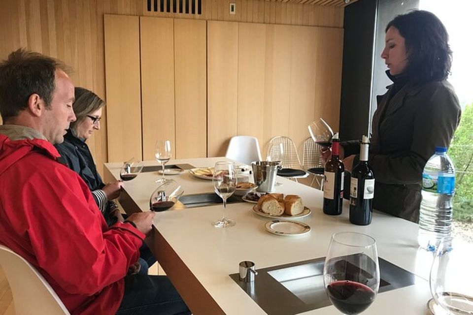 Premium Wine Tour of Rioja With Gourmet Lunch (From Bilbao) - Winery Visits