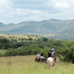 4 pretoria private half day horseback riding safari Pretoria Private Half-Day Horseback Riding Safari