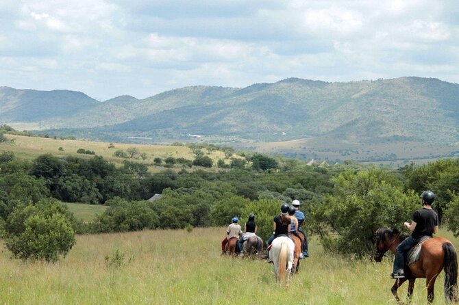 4 pretoria private half day horseback riding safari Pretoria Private Half-Day Horseback Riding Safari