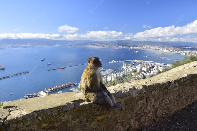 Private 10-Hours Tour of Gibraltar From Cadiz - Booking Information