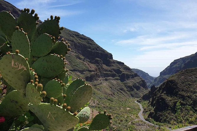 Private Aguimes and Cave Town Tour From Las Palmas With Tapas Tasting - Additional Information