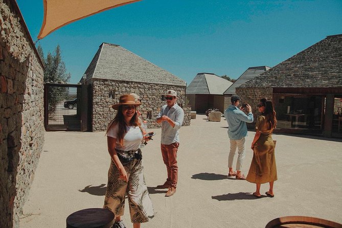 Private and Custom Group Wine Tour Valle De Guadalupe - Additional Information