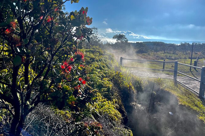 Private Big Island Tour: Coffee, Beaches, Volcanos, Waterfalls - Pricing, Offers, and Booking Details
