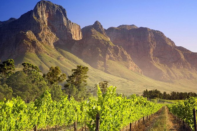 Private Cape Winelands Guided Full Day Tour From Cape Town - Additional Resources