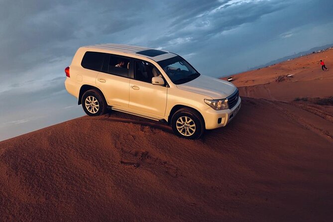 Private City Adventure With Desert Safari in Dubai - Viator Assistance Details