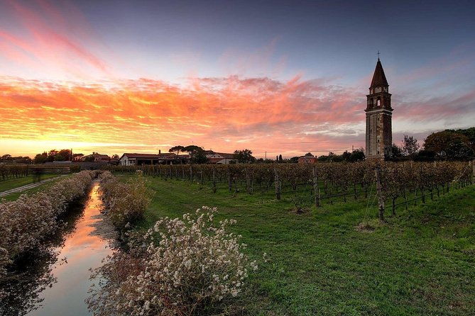 Private Cruise: Murano, Burano and Torcello Full Day - Guided Tours and Historical Insights