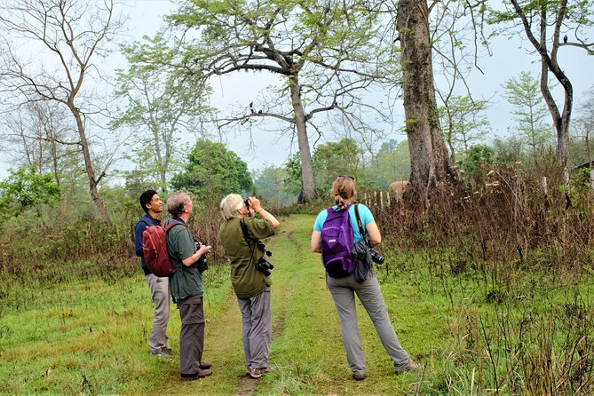 Private Day Hike and Birding Tour, Shivapuri National Park  - Kathmandu - Assistance and Support Options