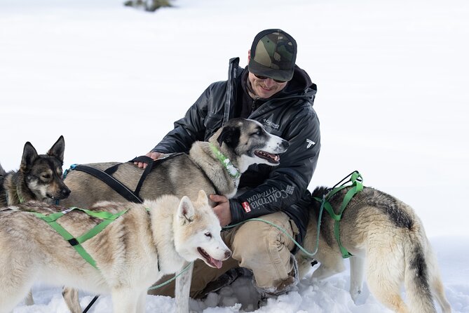 Private Dog Sled Tour - Logistics Details