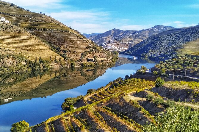 Private Douro Valley All Inclusive: Tastings, Lunch & Boat - Explore Vineyards and Wineries