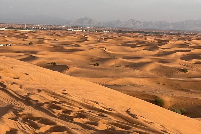 Private Dubai Desert Safari Tour - What to Expect