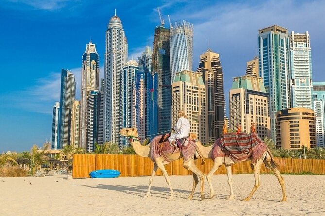 Private Dubai Sightseeing Tour Old and Modern Dubai - Additional Details and Pricing