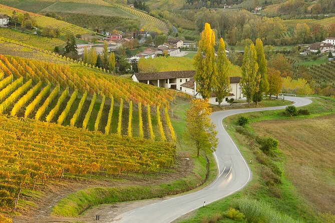 Private E-Bike Tour " Langhe Del Barbaresco " - Asphalt Only - Safety Guidelines