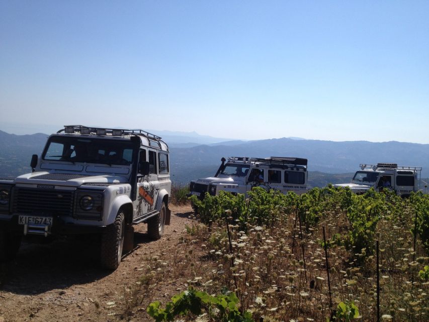 Private Exclusive Manousakis Winery and Vineyard Tour - Inclusions and Restrictions