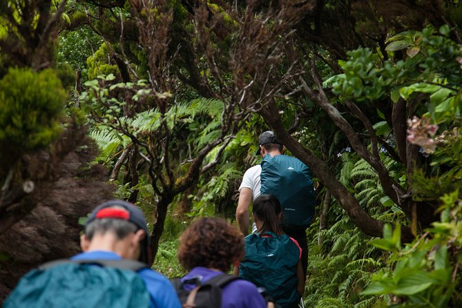 Private Faial Hike: 10 Volcanoes Trail  - Horta - Booking and Cancellation Policies