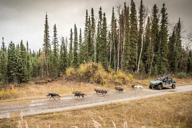 Private Fall Foliage Mushing Cart Ride in Fairbanks - Reviews and Ratings