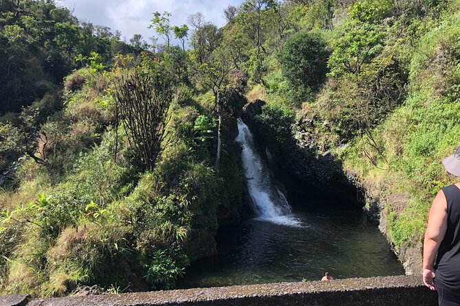 PRIVATE Full Circle Reverse - Luxury Road to Hana Tour From South Maui - Traveler Reviews and Ratings Summary