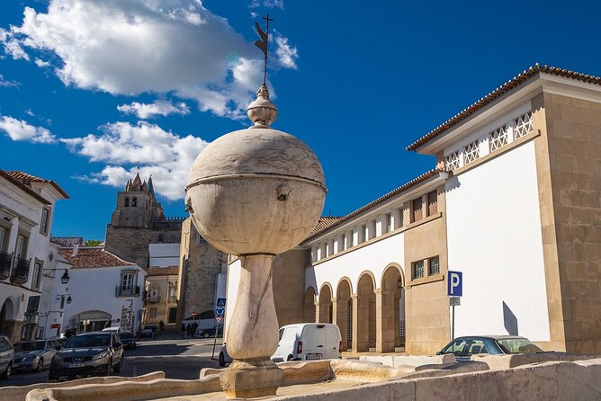 Private Full-Day Guided Tour in Évora - Traveler Reviews and Testimonials