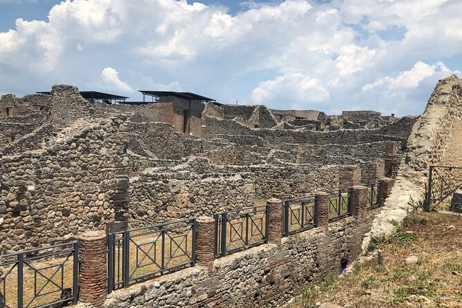 Private Full Day Tour Ruins of Pompei and Wine Tasting Experience - Comprehensive Tour Itinerary