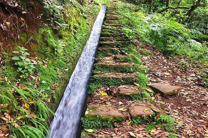 Private Guided Walk Levada Brasileiro – Levada Do Moinho - Reviews and Contact Details