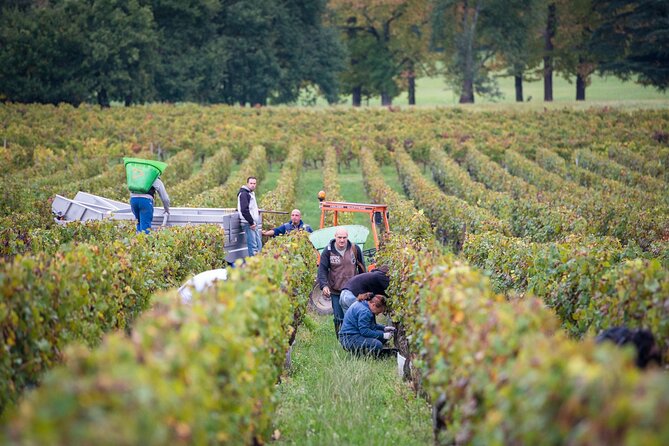 Private Guided Winery Tour With Wine Tasting in Lalande De Pomerol - Booking and Contact Info