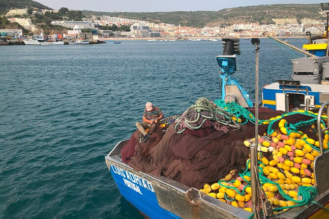 Private Half Day Arrabida Tour With Wine Tasting in Sesimbra - Group Size & Pricing