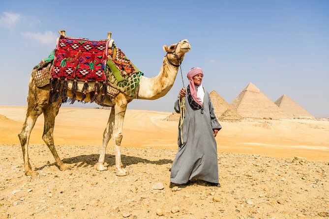 Private Half Day Tour to Giza Pyramids, Sphinx With Camel Ride - Group Size and Pricing