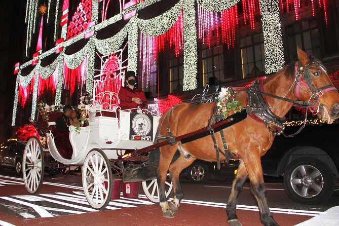 Private Horse-Drawn Carriage Ride of New York City - Accessibility and Expectations