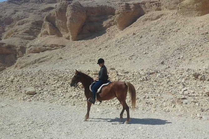 Private Horse Riding Tour in Luxor West Bank - Cancellation Policy and Refunds