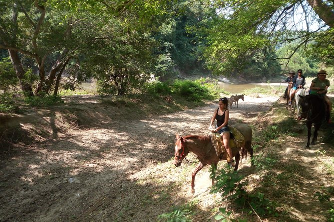 Private Horseback Ride With Hot Springs Visit  - Puerto Escondido - Customer Feedback and Recommendations