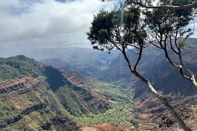 Private Kauai Island Tour-Featuring the Waimea Canyon - Weather Considerations