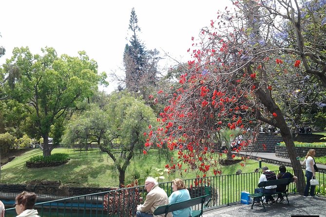 Private Madeira Tour up to 4 People - Admission Details