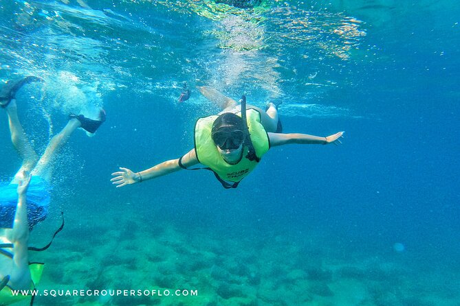 Private MegaSUP & Snorkel Tour of Fort Lauderdale Reefs - Additional Information and Resources