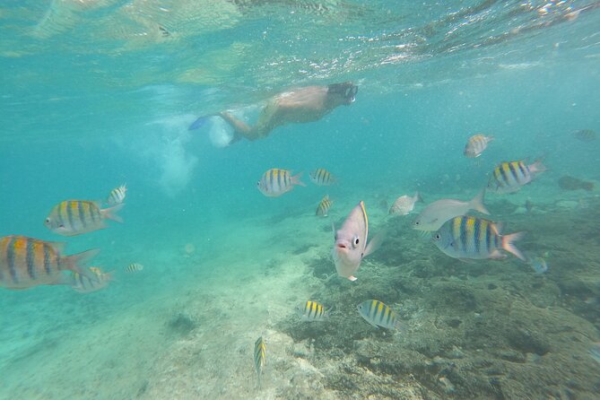 Private MUSA Snorkeling Experience at Isla Mujeres and Cancun - Weather-Dependent Activity