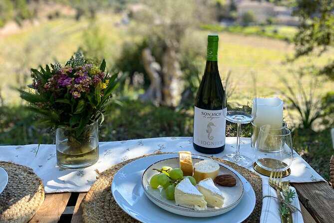 Private Picnic Experience With Winery Tour & Tasting in Mallorca - Common questions