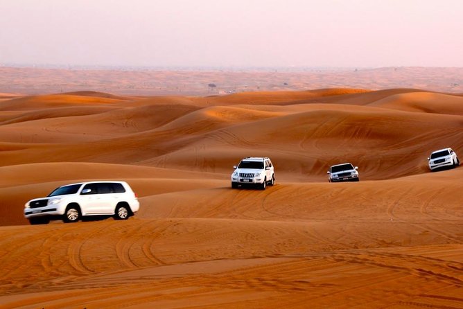 Private Red Dune Desert Safari - Inclusions and Additional Options
