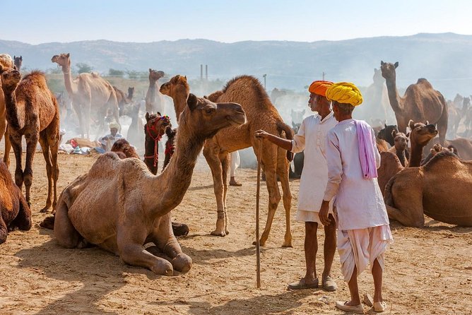 Private Same Day Trip to Ajmer & Pushkar From Jaipur - Common questions