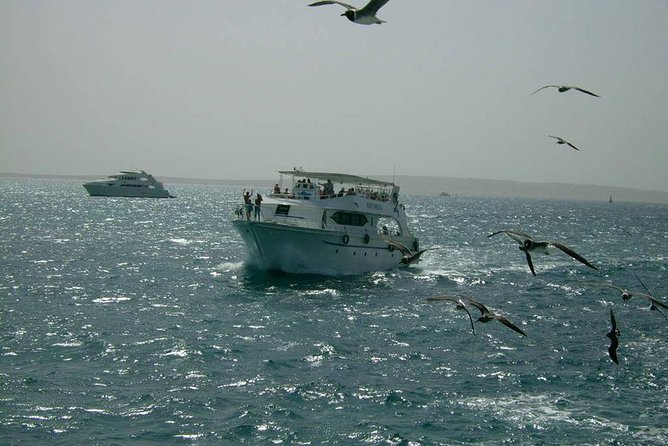 Private Sea Trip Hurghada - Common questions