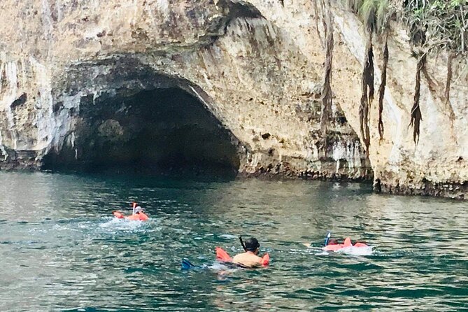 Private Snorkeling Tour to Los Arcos - Pricing & Company Info