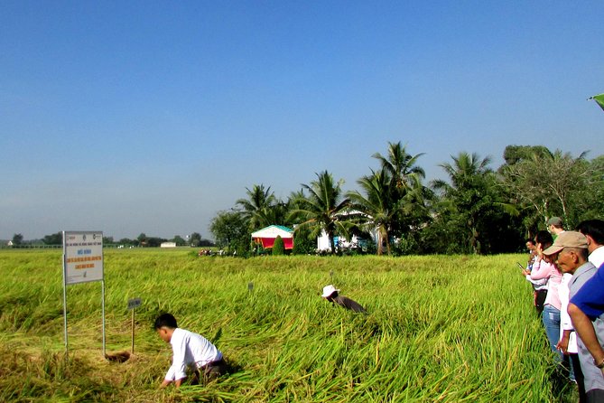 PRIVATE the Tunnels of Cu Chi Half Day Tour - Tour Exclusions