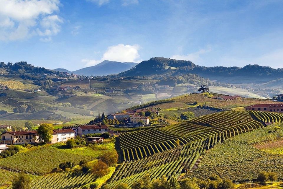 Private Tour: Barolo Wine Tasting in Langhe Area From Torino - Customer Reviews