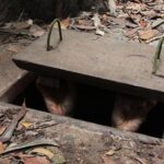 4 private tour best of cu chi tunnels and mekong delta 1 day Private Tour: Best of Cu Chi Tunnels and Mekong Delta 1 Day